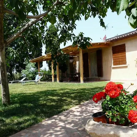 Appartamento Melo Peperosa' Mit Terrasse By Interhome Rosignano Marittimo